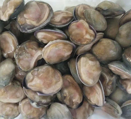 蒜蓉天鹅蛋