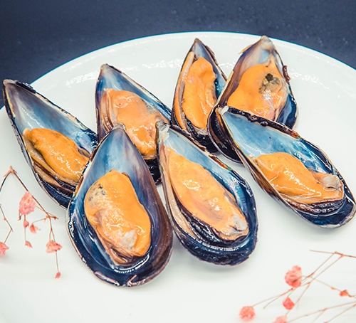 半壳海虹